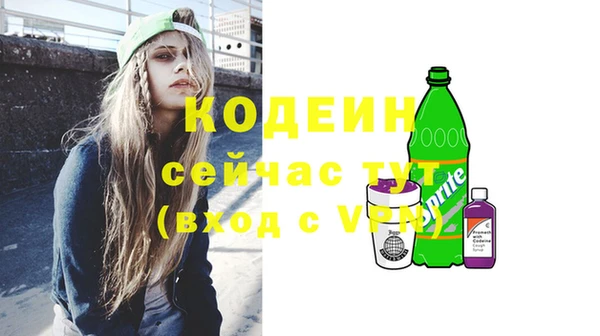 гашик Россошь