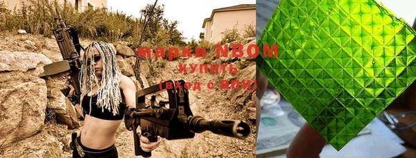 гашик Россошь