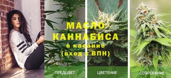 гашик Россошь
