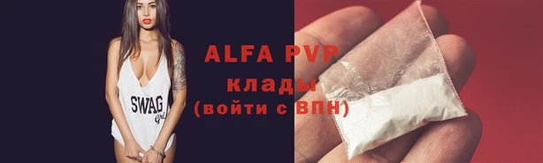 гашик Россошь