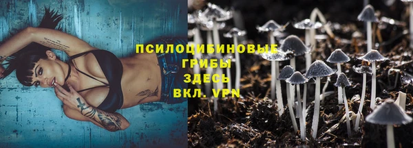 гашик Россошь