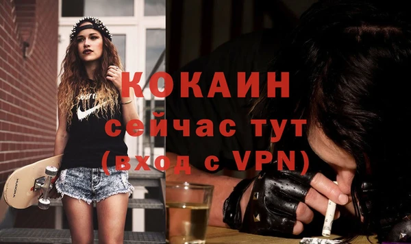 гашик Россошь