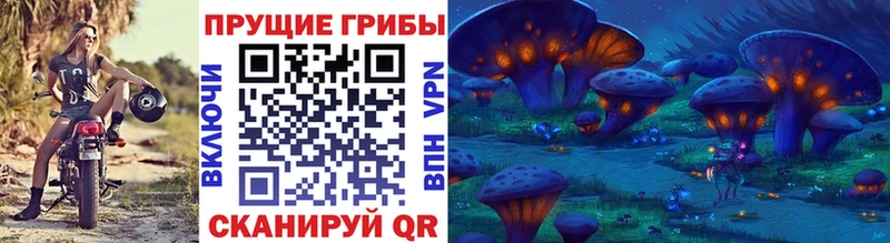 Галлюциногенные грибы Cubensis  Игра 